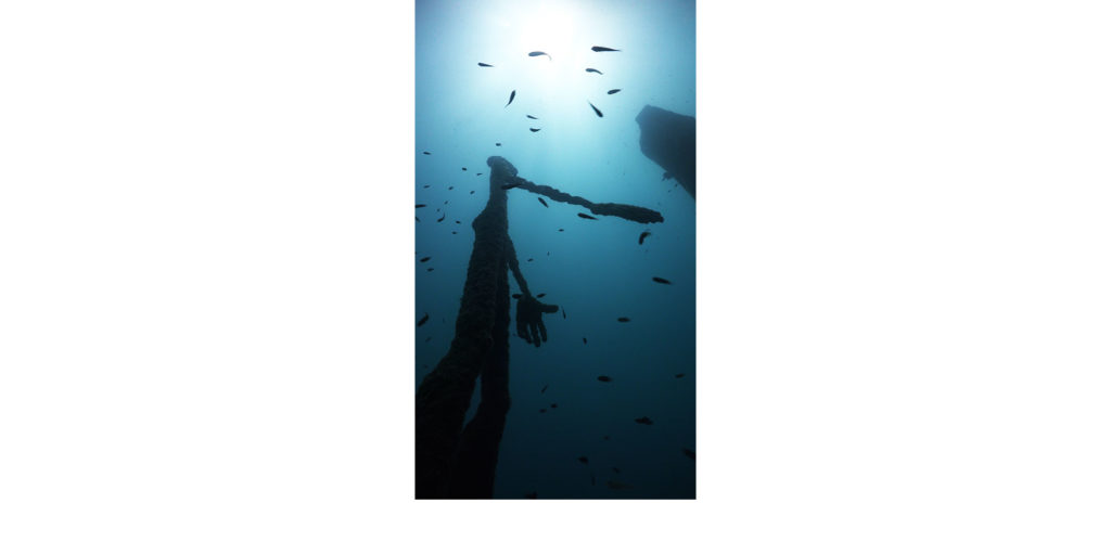Ocean utopia les évolutionnaire sous l'eau sculptures  de la sculpteure française Val – Valérie Goutard – avec Sculptureval à Koh Tao - Thaïlande